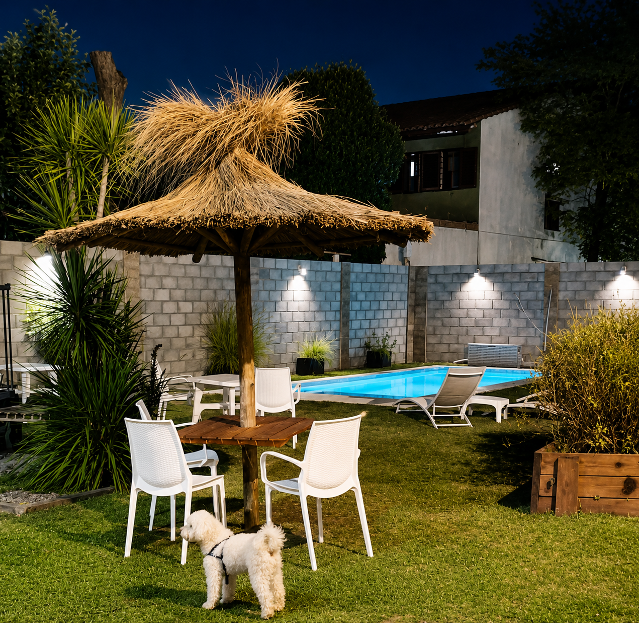 Espacio pet friendly en Edificio Drina